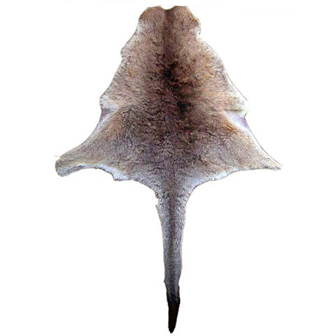 Natural Kangeroo Skin